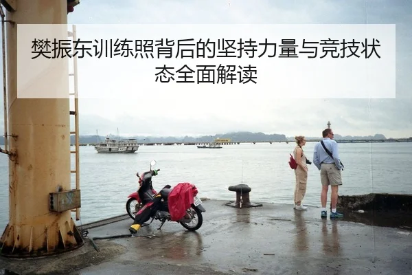 樊振东训练照背后的坚持力量与竞技状态全面解读